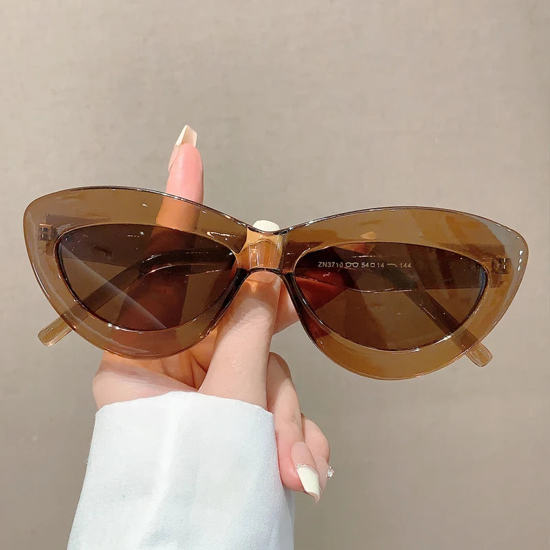 New style cat eye sunglasses